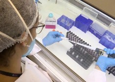 Piauí chega a 600 casos confirmados de coronavírus; 191 pacientes estão internados