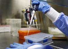 Piauí atinge vinte óbitos pelo coronavírus e estado tem 364 casos confirmados