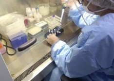 Piauí chega a 65 mortes e mais de 2 mil casos confirmados do novo coronavírus