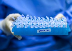 Piauí confirma 8 novas mortes e chega a 4.503 casos de Covid