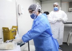 Mais de 400 profissionais de saúde foram infectados pelo coronavírus no Piauí, diz Sesapi