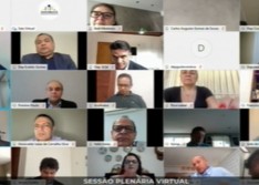 Coronavírus: Alepi aprova antecipação do feriado do Dia do Piauí para sexta, dia 15 de maio