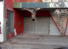 PI: Homem fica preso de cabeça para baixo em cobertura de loja