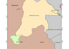 IBGE cumpre decisão judicial e Piauí incorpora terra de litígio com Tocantins