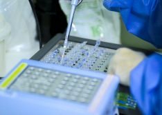 Piauí registra 204 novos casos e 14 mortes por coronavírus neste domingo (14)