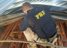 PRF realiza apreensões de cargas de madeira ilegal nas cidades de Floriano e Valença do Piauí