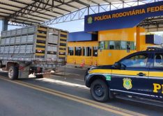 Operação Tamoio: PRF prende idoso com caminhão roubado em 2013