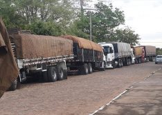 Veja os setores que podem funcionar a partir desta segunda