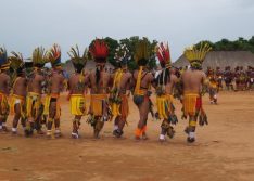 Bolsonaro veta acesso obrigatório a leitos e auxílio para indígenas