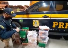 Três pessoas são presas com 150 quilos de maconha dentro de ônibus no Sul do Piauí