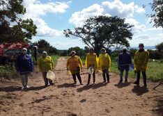 Pandemia contamina mais de 80 índios de quatro municípios do Piauí