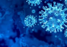 Covid: Picos registra 94 novos casos e mais um óbito