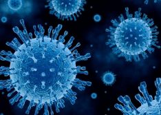 Piauí é o segundo estado do Nordeste com menos óbitos por covid-19