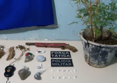 PI: operação localiza plantio de drogas, apreende arma e prende homem suspeito de tráfico