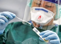 Covid-19: Picos registra mais 60 novos casos em 24h