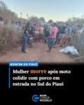 Uma mulher identificada como Ronicleia de Carvalho Lacerda morreu após sofrer um acidente de motocicleta na tarde desta quinta-feira (13), na zona rural de Bonfim do Piauí, no Sul do estado. O acidente aconteceu por volta das 15h, em uma estrada vicinal que liga as localidades Sussuapara e Nambi.

Segundo a 3ª Companhia do 11º Batalhão da Polícia Militar (3ª CIA/11º BPM), Ronicleia conduzia a motocicleta quando colidiu com um porco que estava na estrada. Com o impacto, a motociclista caiu alguns metros do ponto da colisão e morreu ainda no local.

O animal também morreu devido à força da colisão.

A área foi isolada pela equipe policial, que acionou a perícia criminal para realizar os procedimentos cabíveis. Fonte: Cidade Verde