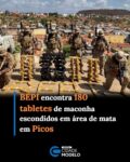 Equipes da 3ª Companhia do Batalhão Especial de Policiamento do Interior (BEPI) apreenderam aproximadamente 150 quilos de maconha na tarde deste sábado (5), em uma área de mata localizada no bairro Morada do Sol, em Picos.

A ocorrência teve início após o recebimento de uma denúncia anônima indicando a possível presença de drogas na região. Com apoio do Núcleo de Inteligência da unidade, os policiais realizaram diligências e localizaram um indivíduo nas proximidades.

Durante as buscas na área de mata, os policiais identificaram um ponto com sinais de terra recentemente mexida. Ao averiguar o local, foram encontrados 180 tabletes de maconha, que estavam enterrados e escondidos. Fonte: Portal Tô de Olho

O suspeito foi detido e, juntamente com todo o material apreendido, encaminhado para a unidade policial responsável, onde foram adotadas as medidas legais cabíveis.