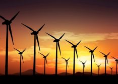 Piauí é o vice-líder nacional de expansão de energia eólica, diz Aneel