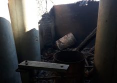 Criminosos matam animais e ateiam fogo em propriedade rural de Francisco Macedo