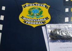 PICOS: PRF autua caminhoneiro por porte de droga para consumo na BR 316