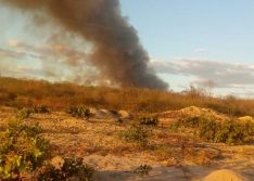 Pio IX: morador causa grande incêndio em mata ao limpar terreno