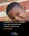 O menino de 3 anos, identificado como Lorenzo, que foi atingido na cabeça por um disparo acidental de uma arma de pressão não resistiu aos ferimentos e morreu nesta terça-feira (21) no Hospital de Urgência de Teresina (HUT) em Teresina. 

Ele foi atingido na tarde da última sexta-feira (17), na localidade Água Branca, zona rural de Domingos Mourão, município a cerca de 230 km de Teresina. O disparo acidental teria sido feito por um tio da criança, no momento que limpava a arma do tipo carabina. 

O menino foi socorrido e encaminhado ao Hospital Regional Chagas Rodrigues, em Piripiri e depois transferido para Teresina.

A PM foi acionada e o tio foi encaminhado até a delegacia onde prestou depoimento, entregou a arma e foi liberado. 

De acordo com o relato prestado aos policiais, o tio afirmou que fazia a regulagem da luneta de uma carabina de pressão calibre 5,5 mm quando o sobrinho passou à frente da arma e foi atingido na cabeça. Ele disse que o disparo ocorreu de forma acidental e negou ter tido intenção de ferir a criança.

O caso segue sob investigação.  Fonte: Cidade Verde