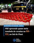 A Polícia Rodoviária Federal (PRF) apreendeu 490 quilos de cocaína durante uma abordagem a um caminhão no município de Manoel Emídio, no Sul do Piauí, no último domingo (30). A droga estava escondida na estrutura do veículo, que foi parado durante uma fiscalização na BR-135. O motorista foi preso em flagrante.

Segundo informações da PRF, a equipe realizou uma vistoria técnica no caminhão após a abordagem. Durante a inspeção, os agentes localizaram os tabletes de cocaína no veículo, totalizando 490 quilos da droga.

Após a apreensão, o motorista recebeu voz de prisão e foi encaminhado para uma delegacia da Polícia Civil. A droga também foi levada para a unidade policial, onde deve permanecer à disposição das autoridades responsáveis pela investigação.

A ocorrência faz parte de uma sequência de apreensões registradas pela PRF no Piauí nos últimos dez dias. De acordo com o balanço divulgado pela corporação, quase uma tonelada de cocaína foi apreendida no estado durante o período, além de outros entorpecentes, armas e produtos contrabandeados.

Antes da ocorrência em Manoel Emídio, uma das maiores apreensões foi registrada em Parnaíba, no litoral do Piauí, onde foram encontrados 475 quilos de cocaína. Na mesma cidade, outra ação resultou na apreensão de um fuzil, 200 munições, dois quilos de crack e cinco quilos de maconha.

Em Picos, no Sul do Piauí, os agentes apreenderam 10,5 quilos de pasta base de cocaína. Já em Floriano, também na região Sul, uma ocorrência resultou na apreensão de dois quilos de crack.

As ações realizadas no período também incluíram uma apreensão de produtos de origem ilegal. Em Piripiri, no Norte do estado, foram encontrados 200 mil maços de cigarros.

Somadas as ocorrências de cocaína registradas em Parnaíba, Picos e Manoel Emídio, as apreensões mencionadas pela PRF chegam a 975,5 quilos da droga em dez dias, considerando os 475 quilos de cocaína, os 10,5 quilos de pasta base e os 490 quilos apreendidos na BR-135.

A investigação sobre a ocorrência em Manoel Emídio deverá apurar a origem da droga, o destino da carga e a eventual participação de outras pessoas