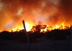 Incêndio de grandes proporções atinge zona rural de Monselhor Hipolíto