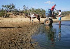 Jacobina do Piauí declara situação de emergência devido falta de chuvas na região