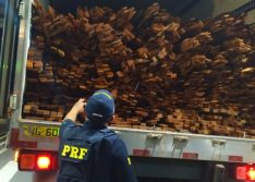 PRF apreende 30,34 m³ de madeira ilegal na BR-316 e autua condutor por crime ambiental