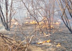 Incêndio de grandes proporções dura 22 dias e ameaça casas no Norte do Piauí