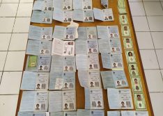 Seis pessoas são presas suspeitas de falsificar carteiras de trabalho e de identidade no Piauí