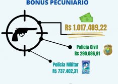 Piauí paga mais de R$ 1 milhão por apreensões de armas à policiais