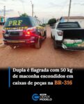 Um motorista de 30 anos e um passageiro de 23 anos foram presos na tarde de quinta-feira (22), após serem flagrados transportando 57 tabletes de maconha, totalizando 50 kg da droga. A prisão ocorreu na BR-316, em Marcolândia, no Sudeste do Piauí, durante uma fiscalização da Polícia Rodoviária Federal (PRF).

Segundo a PRF, uma equipe realizava fiscalização de rotina quando identificou um veículo de carroceria aberta, realizando uma ultrapassagem proibida. Durante a abordagem, os policiais sentiram odor de maconha vindo do compartimento de carga.

Questionados sobre o que transportavam, os ocupantes informaram que levavam caixas com peças de motocicletas compradas na cidade de Picos. Ao verificarem o conteúdo, os policiais encontraram 57 tabletes de maconha, com peso total de 50 kg.

Durante a ocorrência, o passageiro, de 23 anos, apresentou uma crise convulsiva e precisou ser encaminhado a um hospital de Marcolândia. Após receber atendimento médico, ele foi liberado e preso em flagrante, assim como o motorista.

Ainda conforme a PRF, o condutor já havia sido preso anteriormente por roubo de veículos. Segundo informações repassadas à polícia, a droga seria distribuída nas regiões de Marcolândia, no Piauí, e Araripina, em Pernambuco.

Os dois homens foram encaminhados à Delegacia de Polícia Civil de Marcolândia, onde foram autuados em flagrante por tráfico de drogas. Fonte: Cidade Verde