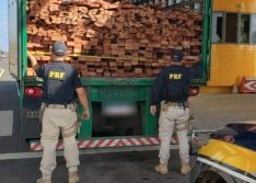 PRF apreende carga de madeira ilegal em Valença do Piauí