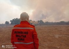 Piauí atinge a 5º posição no ranking de focos de queimadas no Brasil