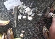 Drogas são encontradas dentro de bananas em presídio no Sul do Piauí