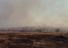 Três mil focos de incêndio aconteceram em apenas 30 dias no Piauí