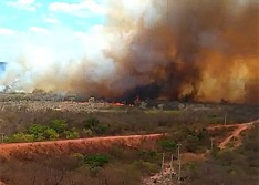 Fogo ameaça casas e reserva ambiental há dois dias em Palmeira do Piauí