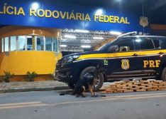 Passageira é presa com maconha avaliada em R$ 30 mil em Floriano