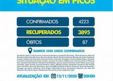 COVID-19: Picos registra 87º óbito