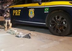 Motorista é preso com drogas e R$ 50 mil em compartimento oculto de carro