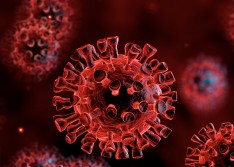 Piauí registra mais cinco mortes e 1.046 novos casos confirmados da Covid-19