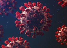 Governo confirma o 1º caso de reinfecção por coronavírus no Brasil