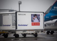 Governo Federal entrega ao STF plano de vacinação contra covid-19