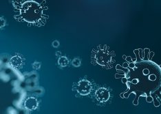 Piauí registra 8 novas mortes e 530 casos de Covid-19 em 24h