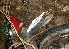 Motociclista morre ao ser colhido por caminhão que tentou desviar de animal na BR-316