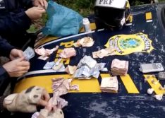 PRF apreende drogas e dinheiro na BR 343 e prende dupla suspeita de tráfico de drogas