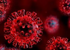 Delegação da OMS vai à China para investigar origem do coronavírus