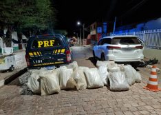 Alegrete: homem é preso na BR-316 com 300 kg de maconha escondida em veículo de luxo